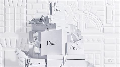 dior jp website|dior official online store.